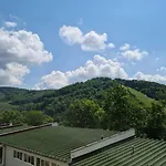 Rabarbar
